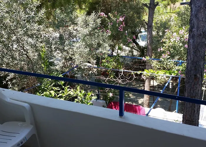 Bed & Breakfast Deniz Yildizi *