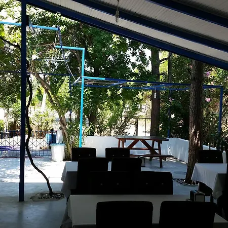 Deniz Yildizi * Fethiye