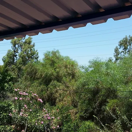 Deniz Yildizi * Fethiye