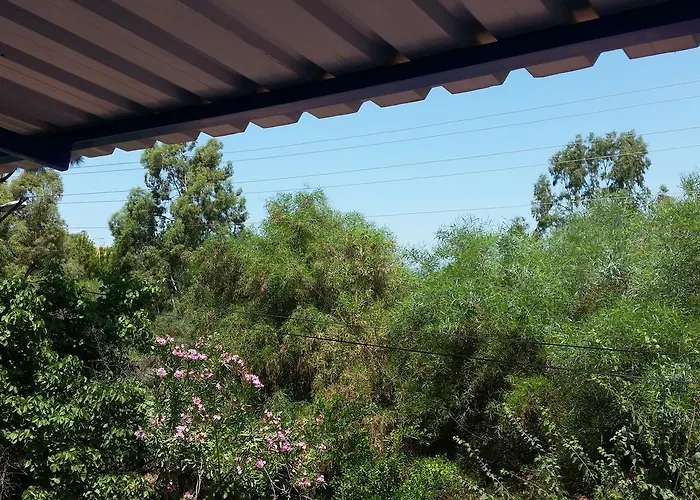 Deniz Yildizi * Fethiye