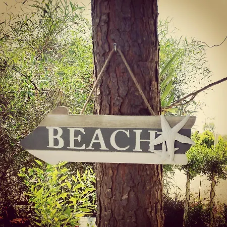 Deniz Yildizi * 페티예